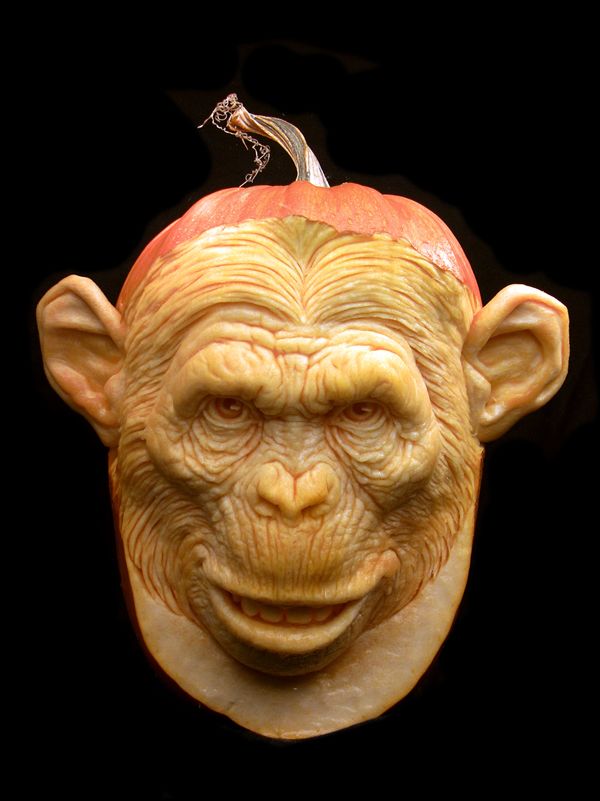 Halloween Pumpkin Carvings Ideas