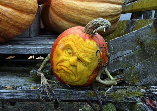 Halloween Pumpkin carvings